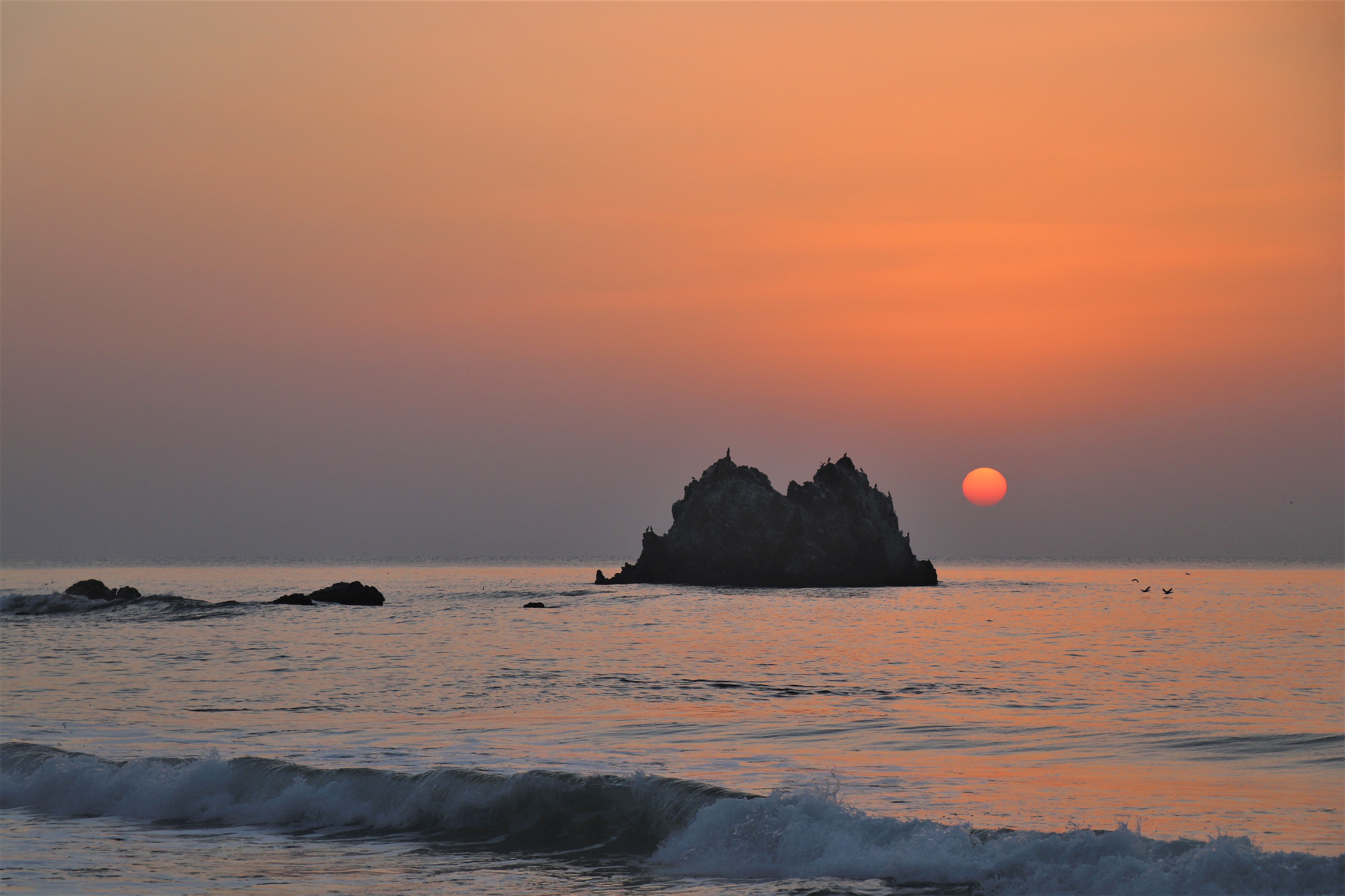 朝活🌅