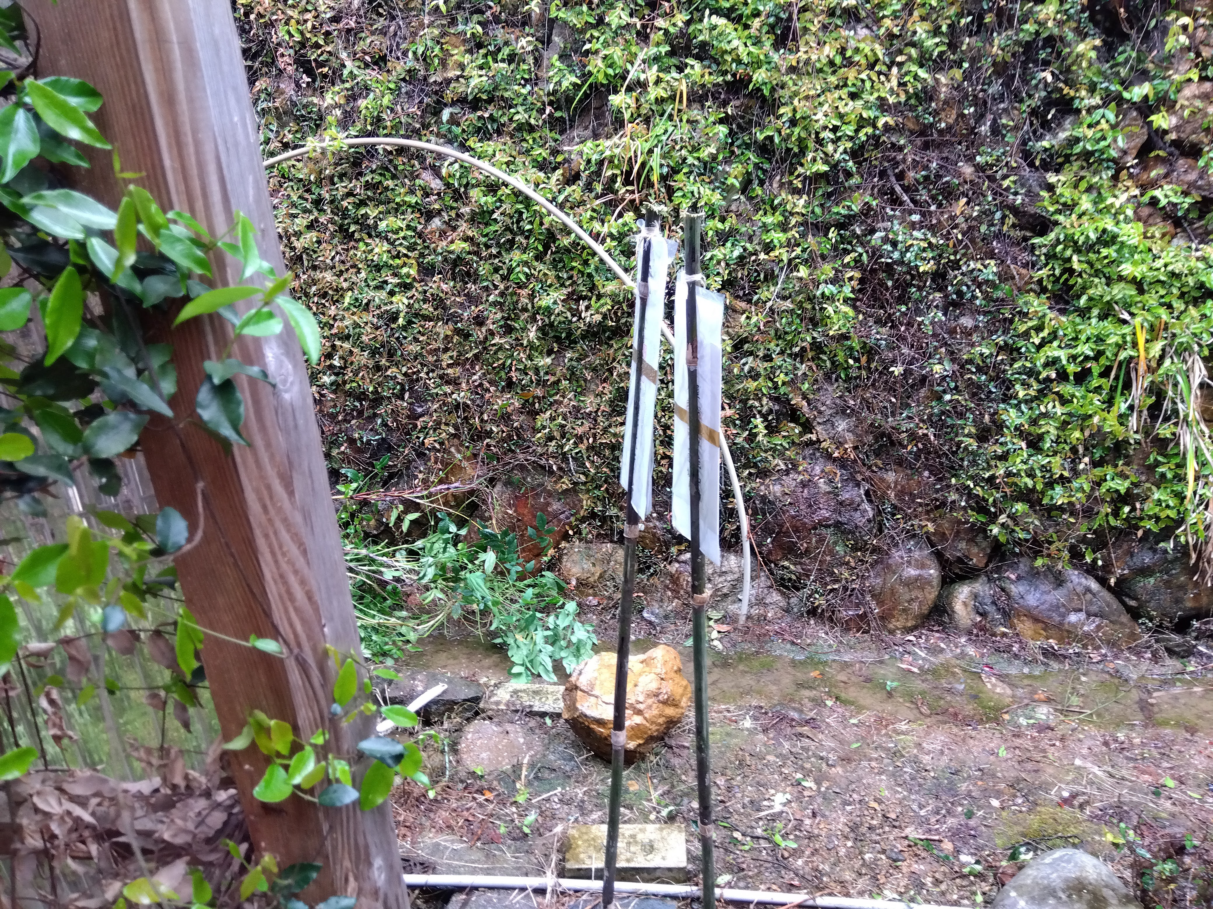 解体前のお祓い