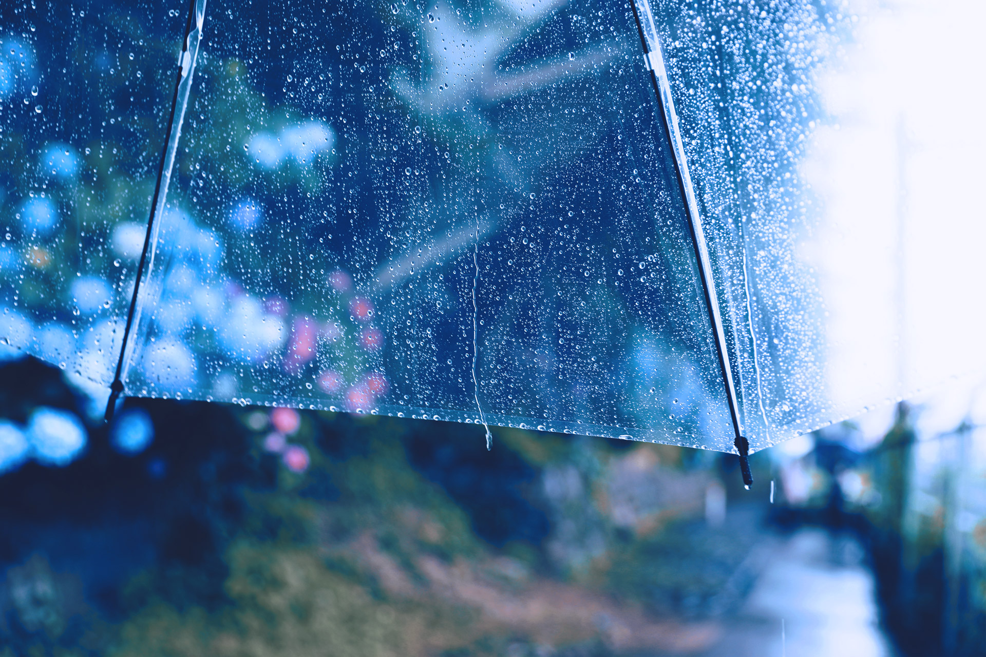 長雨☔